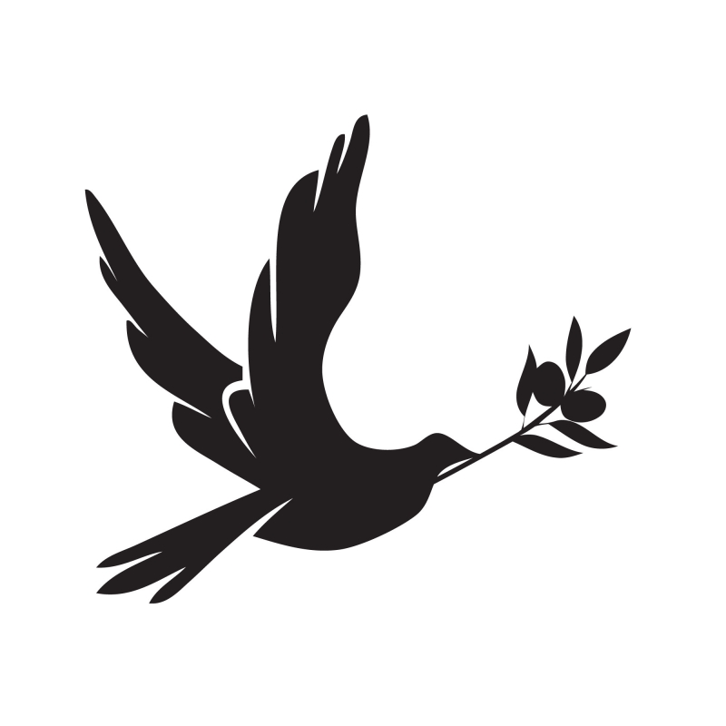 Picture Of Dove With Olive Branch | Free Download Clip Art | Free ...