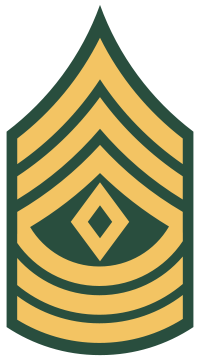 Army First Sergeant - Military Ranks
