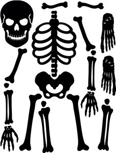 Skeleton Template | Halloween ...