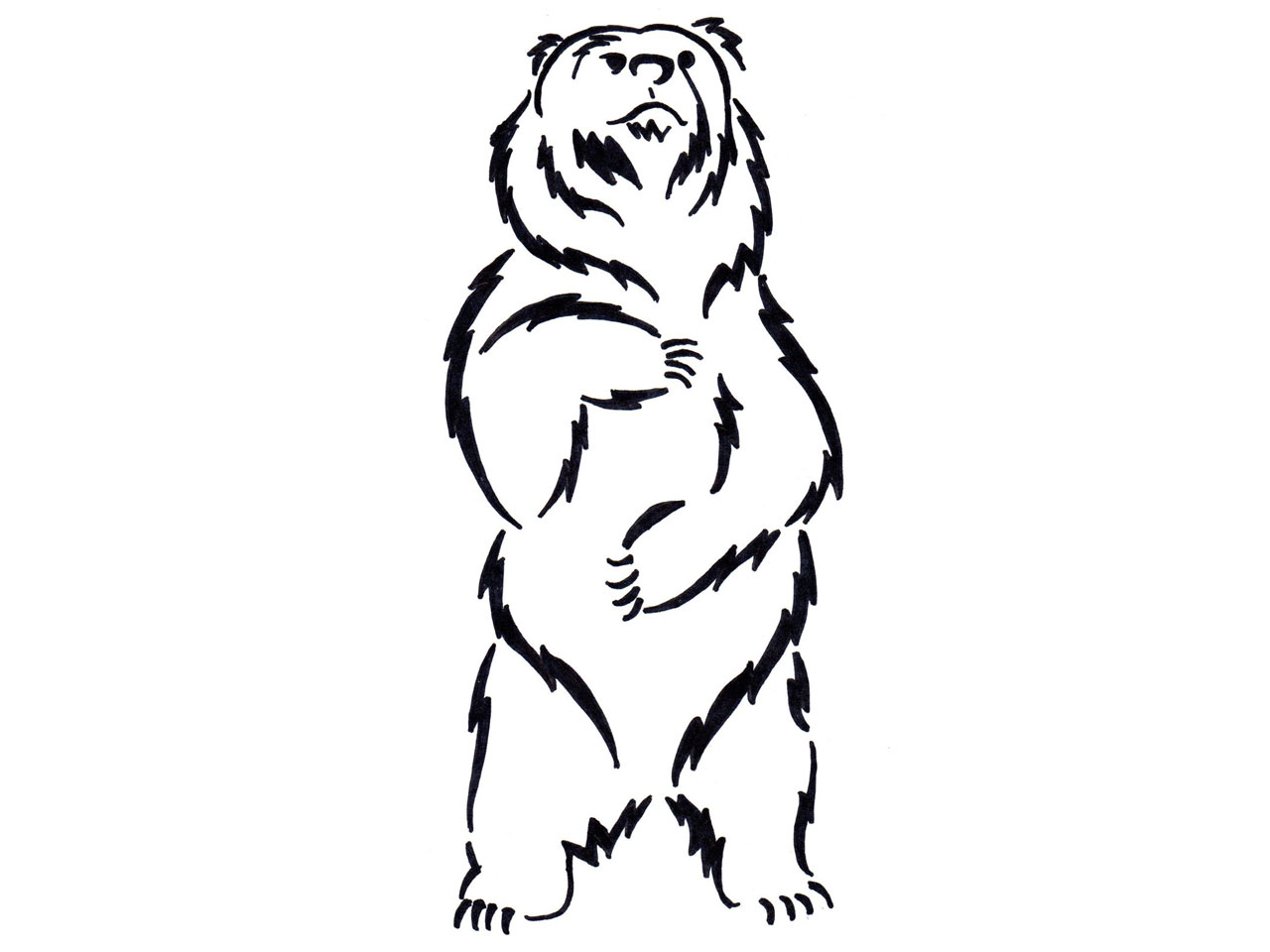 Bear Drawing | Free Download Clip Art | Free Clip Art | on Clipart ...