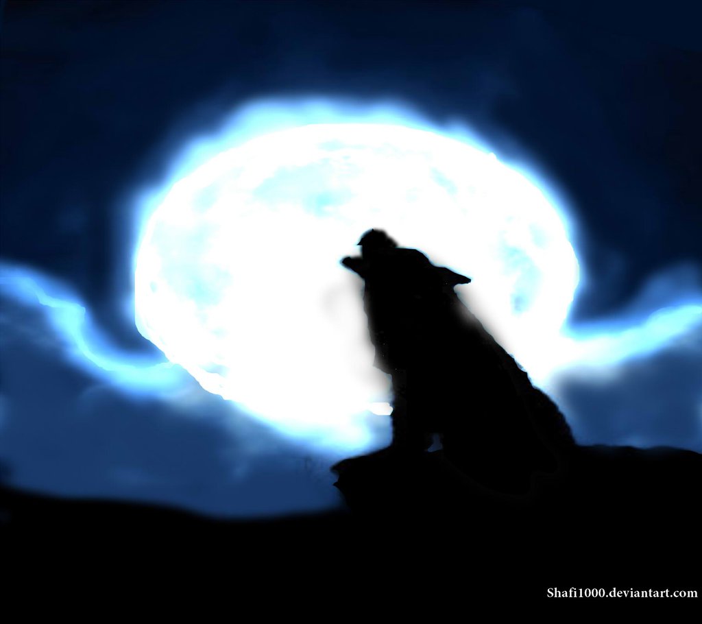 Wolf Howling At The Moon W.I.P by shafi1000 on DeviantArt