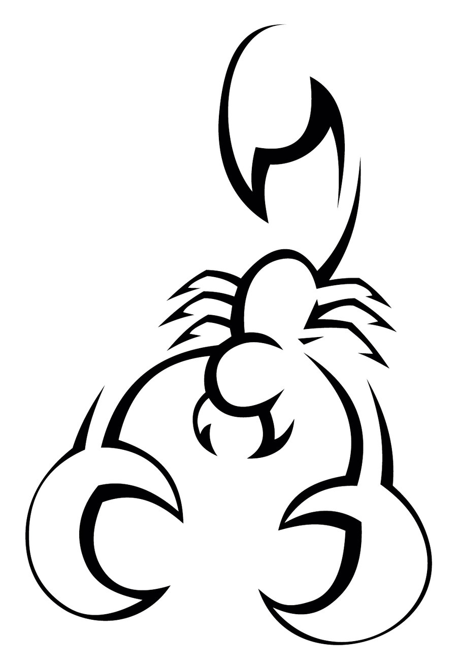 Scorpion Outline ClipArt Best