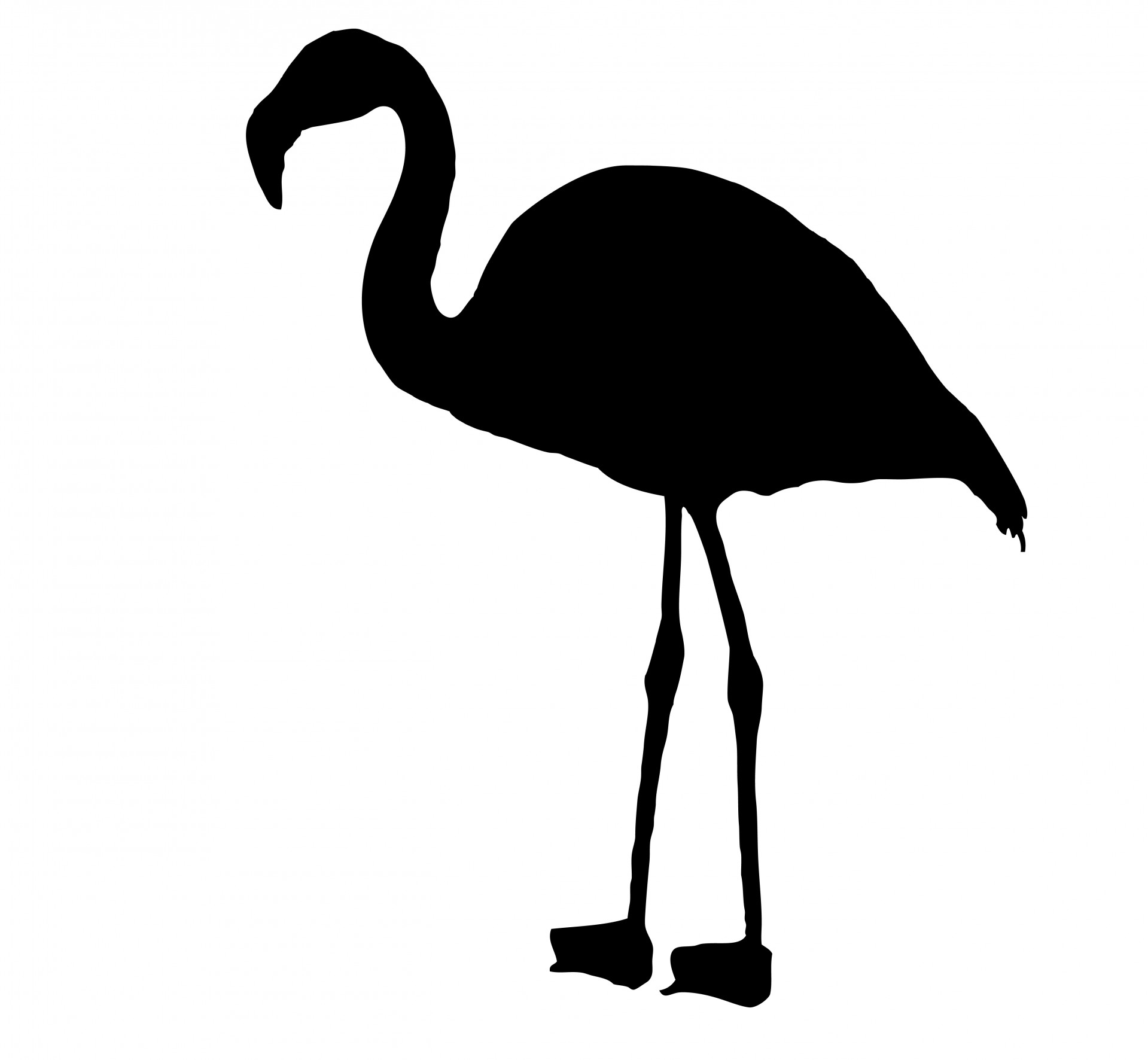 Flamingo Bird Silhouette Clipart Free Stock Photo - Public Domain ...