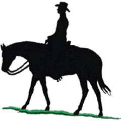 Horse And Rider Images - ClipArt Best