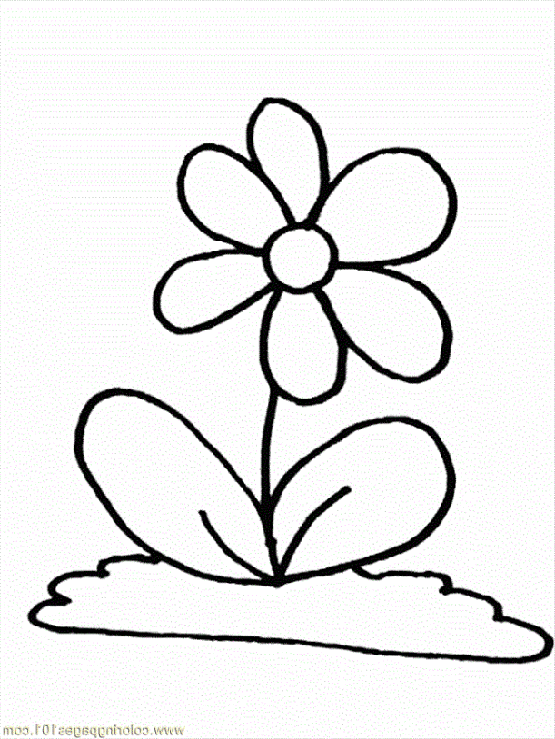 Gambar Kartun Bunga Hitam Putih - Kartun Kocak
