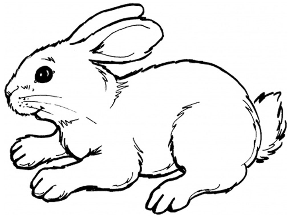 Rabbit black and white clipart