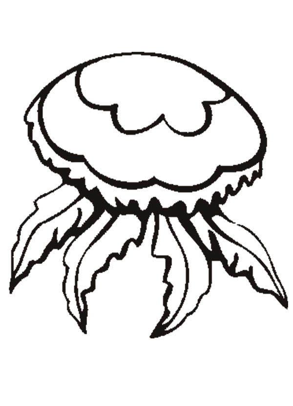flower jellyfish coloring page - Download & Print Online Coloring ...