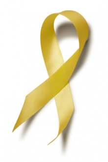 Yellow Ribbon Program Procedures | Office of Military and Veteran ...