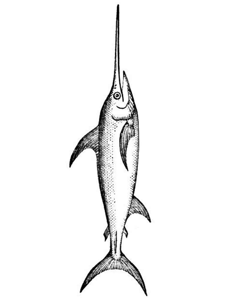 Swordfish Coloring Page - ClipArt Best