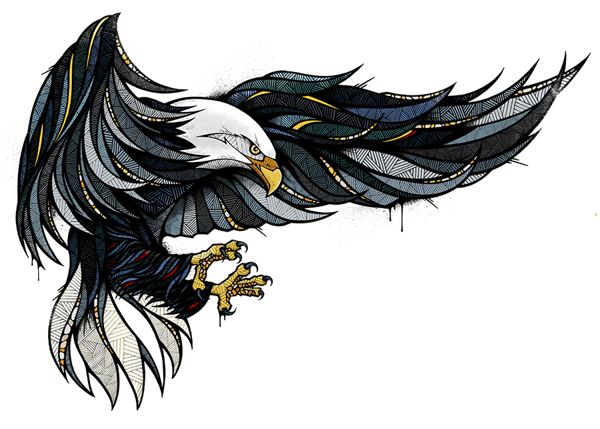 1000+ images about eagle logo study