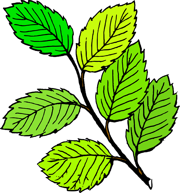 Cartoon Plant | Free Download Clip Art | Free Clip Art | on ...