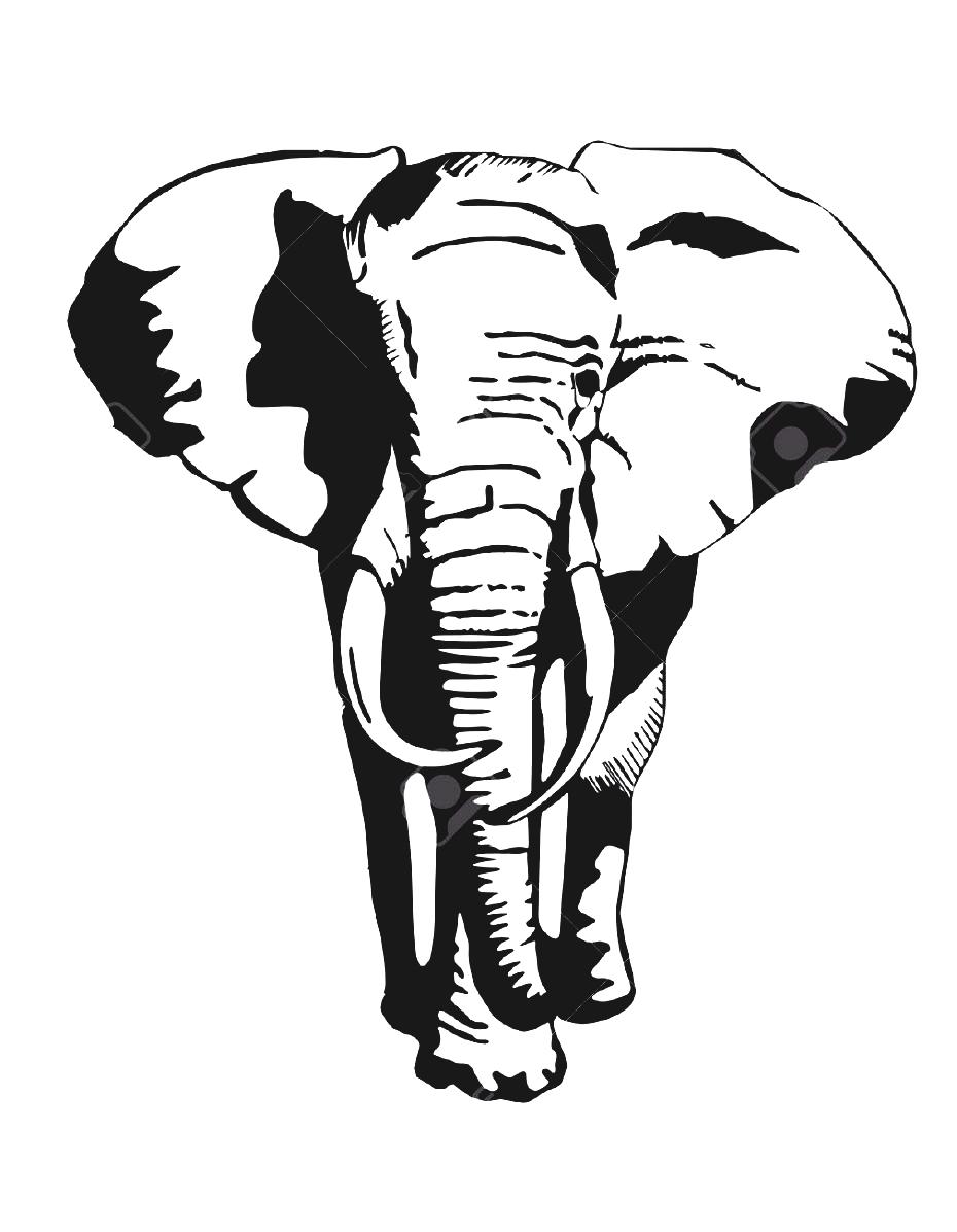 Black And White Elephant Drawing Silhouette Stock Photos Images