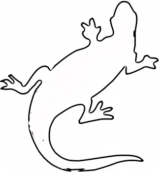 Lizard Outline coloring page | Super Coloring