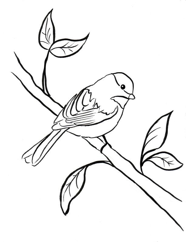Chickadee Coloring Page - AZ Coloring Pages