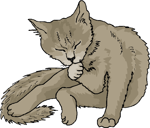 clipart of funny animals - photo #34