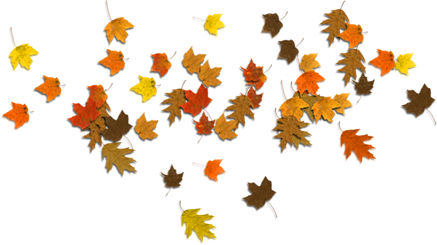 Falling Leaves Clipart Transparent