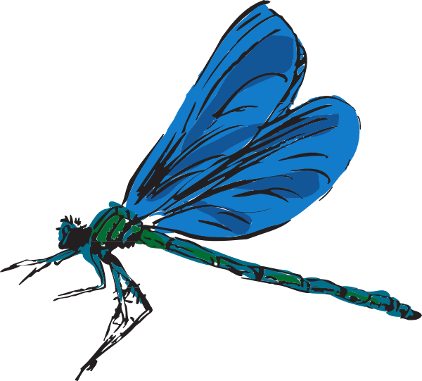 Cartoon Dragonfly Clipart