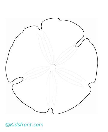 Best Photos of Sand Dollar Coloring Pages Printable - Coloring ...