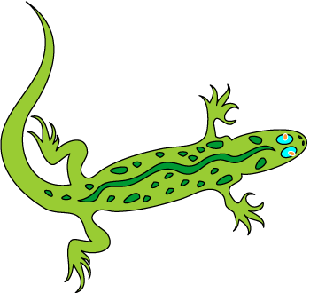 Green gecko clipart