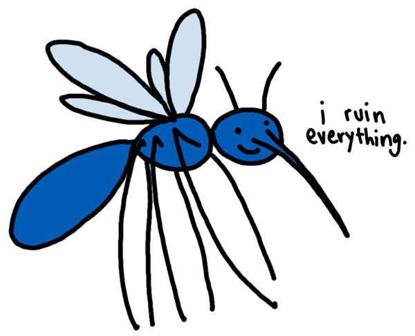 1000+ images about Silly Mosquito Jokes
