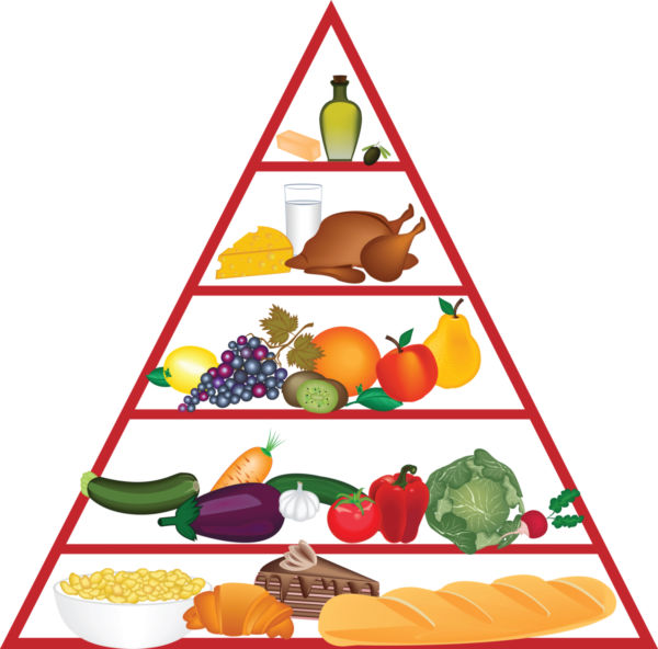 Food Pyramid Clip Art - Free Clipart Images