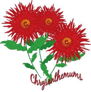 Chrysanthemums Clipart | Free Download Clip Art | Free Clip Art ...