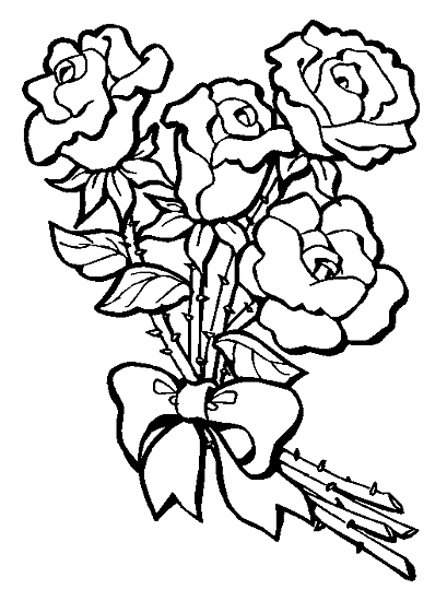 Red Rose Drawings