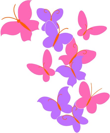 Copy of Color Butterfly Wall Graphic 2 - Custom Wall Graphics