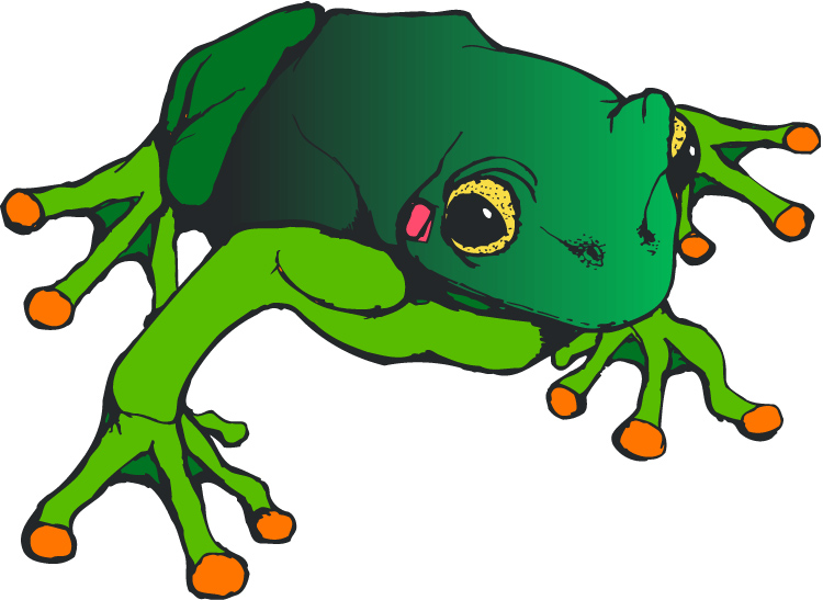 Free Frog On Lily Pad Coloring Sheet