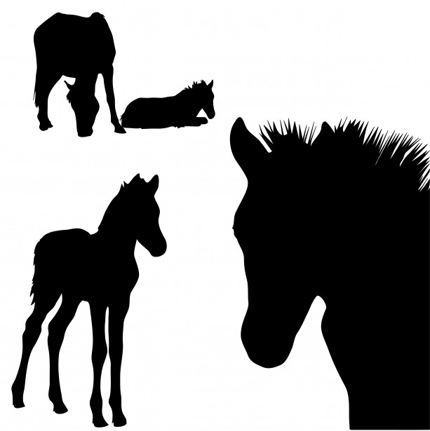 Horse Silhouettes Clipart Free Stock Photo - Public Domain Pictures