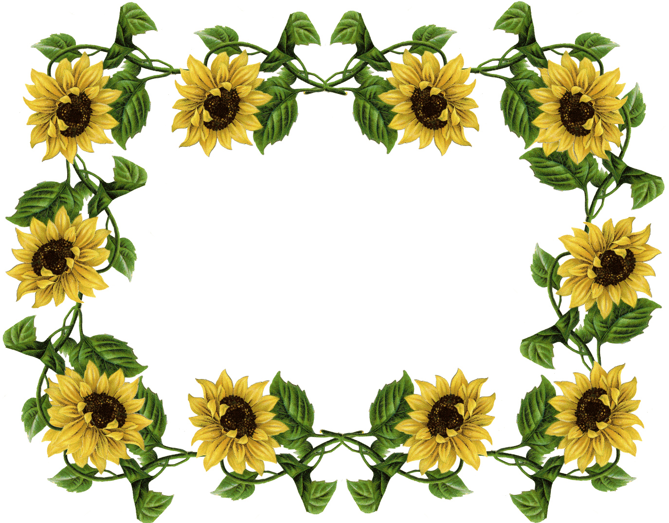 Sunflower Border Clipart - Free Clipart Images