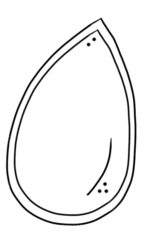 Seed Black And White Clipart