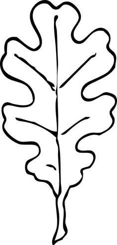 Maple leaves, Leaf template and Clip art