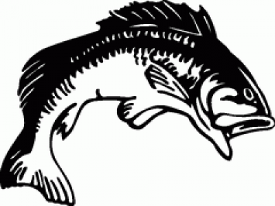 Bass Fish Clip Art - ClipArt Best