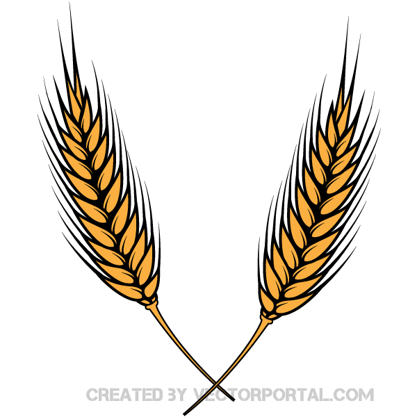 10+ Wheat Clipart Images Vectors | Download Free Vector Art ...