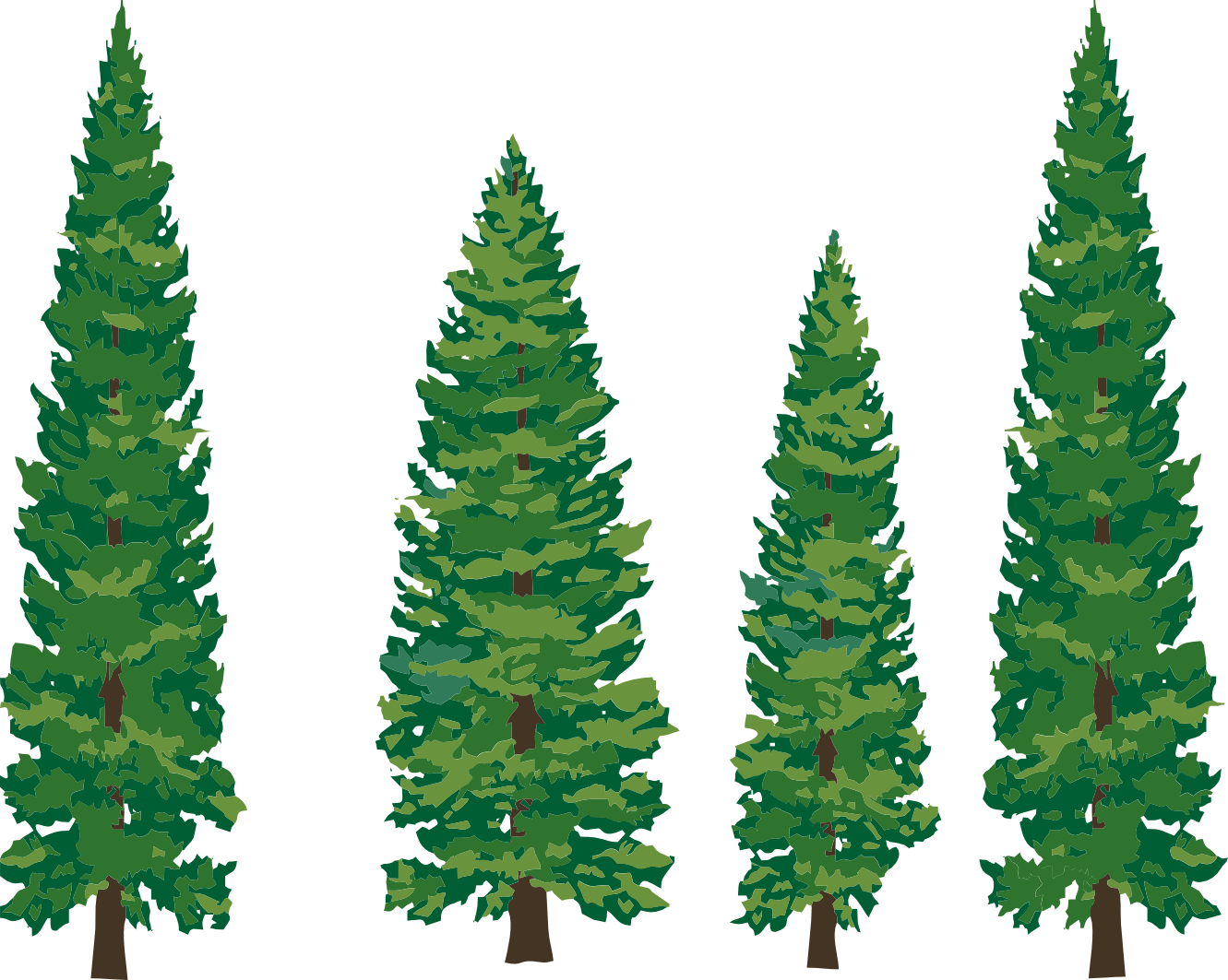 Redwood tree with face clipart png