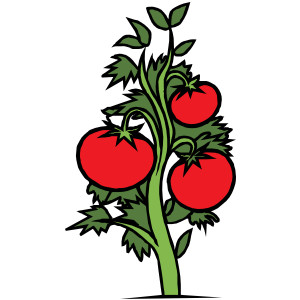 Tomato Plant clip art - vector clip art online, royalty free ...