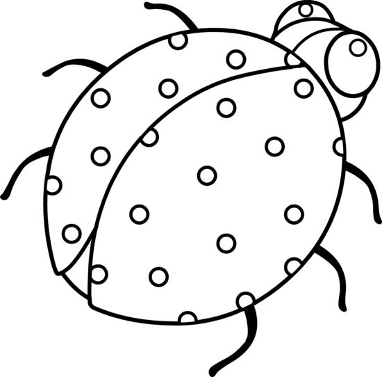 Ladybird Line Drawings - ClipArt Best