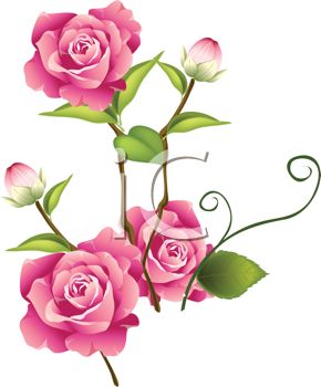 Pink rose clip art free