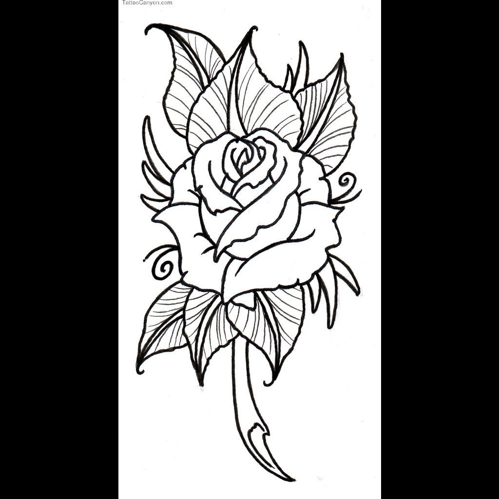 Rose Outline By Vikingtattoo Designs Interfaces Tattoo Design ...