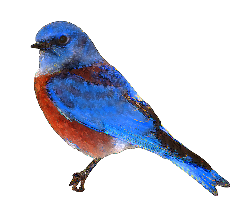 clipart of birds - photo #38