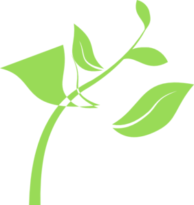 Plant clip art - vector clip art online, royalty free & public domain