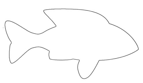 Outline Of Fish