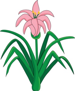 Easter Lily Clipart Image - Clip Art Illustration of a Pink Lily