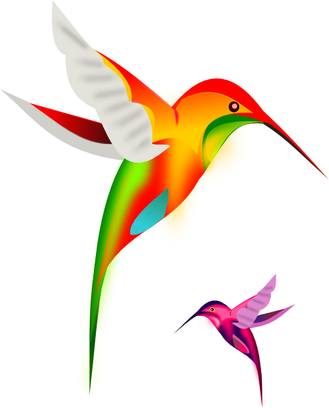 Colibri Birds clip art Free Vector
