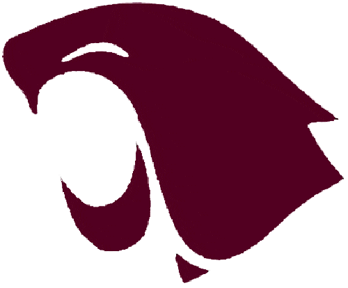 Washington State Cougars Primary Logo - NCAA Division I (u-z ...