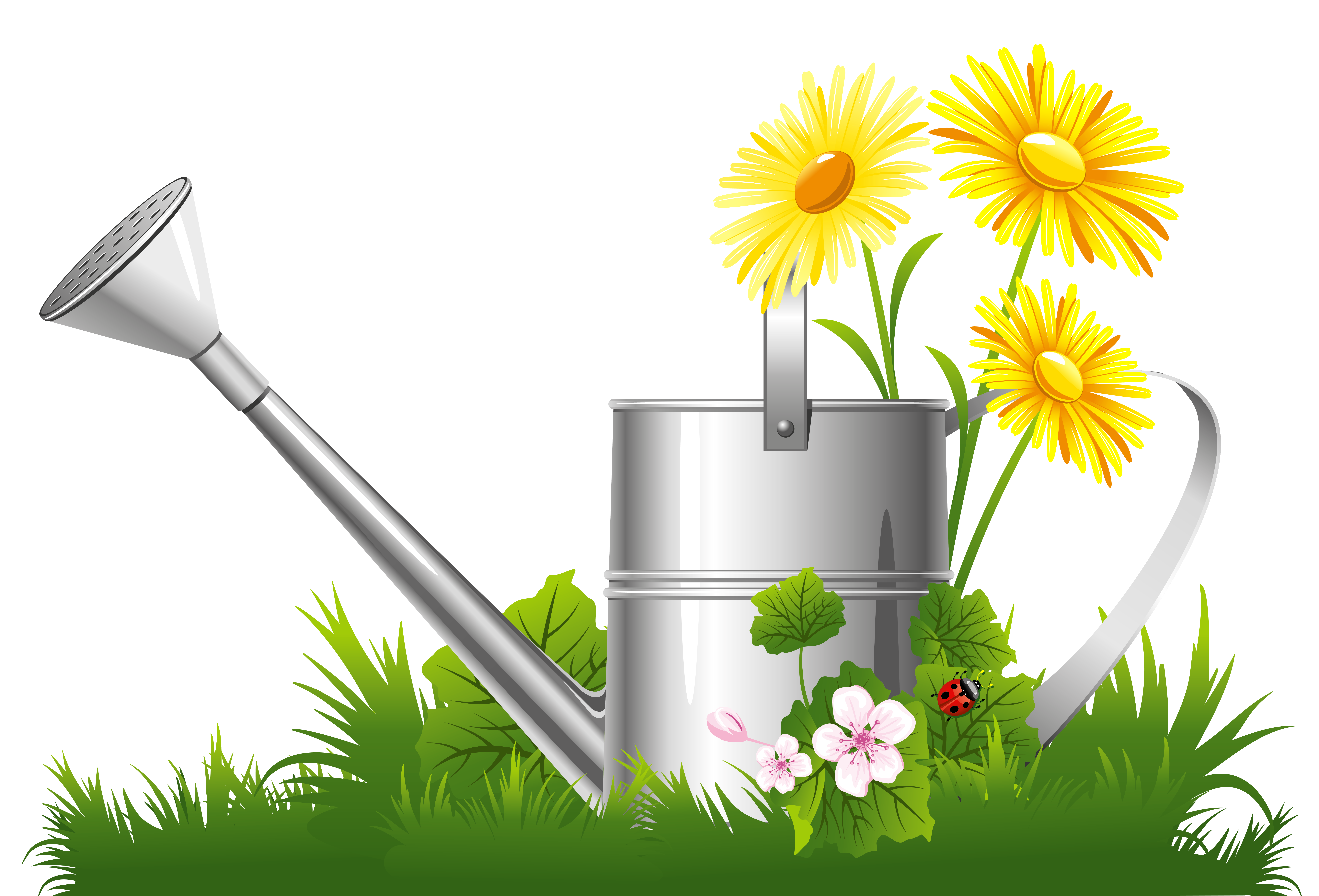 Spring Decoration with Water Can Grass and Flowers PNG Clipart