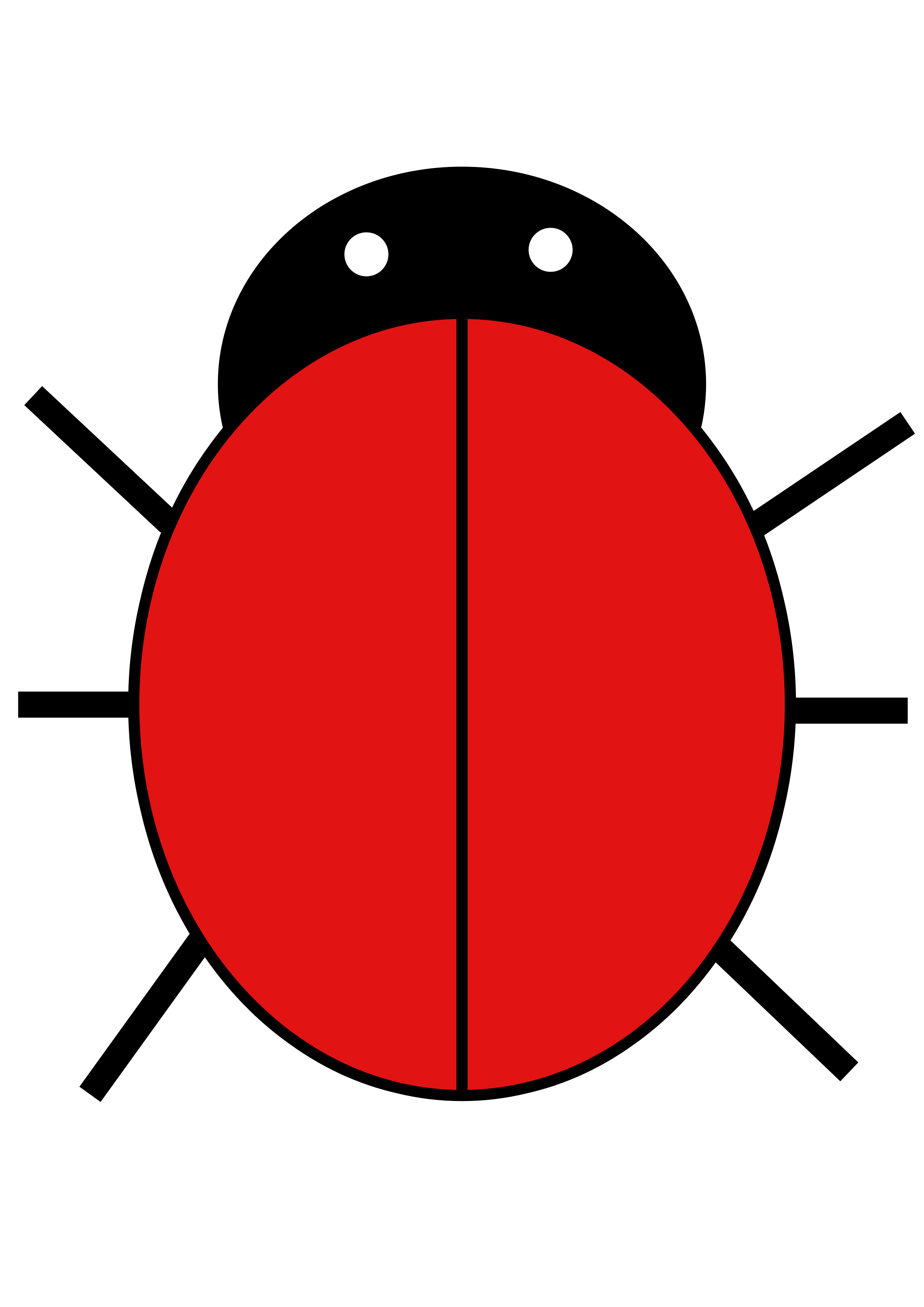 Ladybird | Free Images - vector clip art online ...