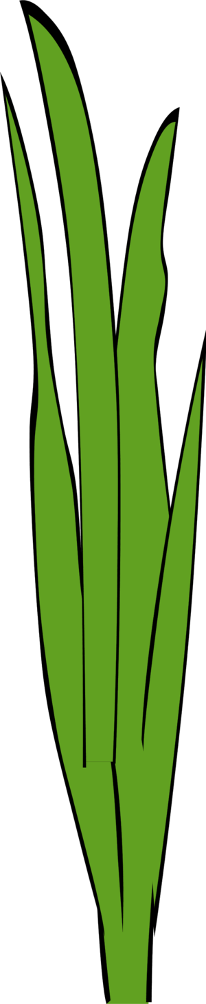 clip art grass blades - photo #14