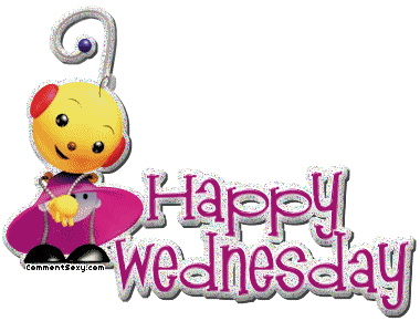 Hump Day Animated Clipart